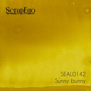 SEAL0142 Sunny bunny.jpg